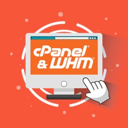 cPanel 100 Accounts