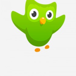 Duolingo Plus Edu 1 Yıllık Lisans